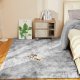 Fluffy plush rug 5x7 for living room bedroom home decoration, light gray